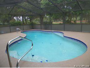 1436 E Silver Thorn Loop, Hernando, FL 34442 photo 13