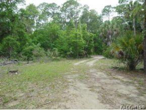 173 Sapp, Inglis, FL 34449 photo 11