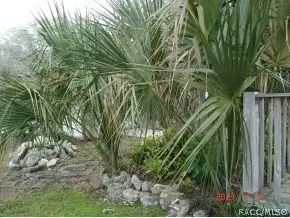 8541 E Devonshire, Inverness, FL 34450 photo 18