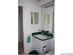 272 N Turkey Pine Loop, Lecanto, FL 34461 photo 18