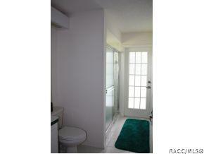 272 N Turkey Pine Loop, Lecanto, FL 34461 photo 17