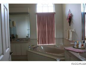 272 N Turkey Pine Loop, Lecanto, FL 34461 photo 8
