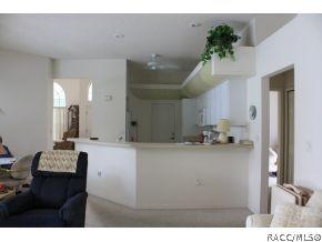 272 N Turkey Pine Loop, Lecanto, FL 34461 photo 11