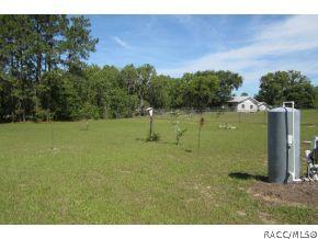 689 E Lasalle St, Hernando, FL 34442 photo 23