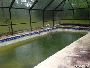 1691 E Bismark St, Hernando, FL 34442 photo 13