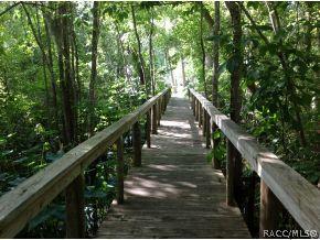 16123 W River Rd, Inglis, FL 34449 photo 20