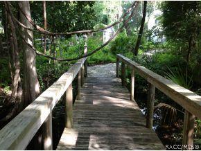 16123 W River Rd, Inglis, FL 34449 photo 5