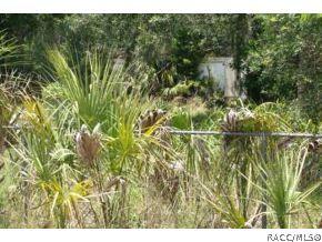 11266 N Clamdigger, Inglis, FL 34449 photo 1