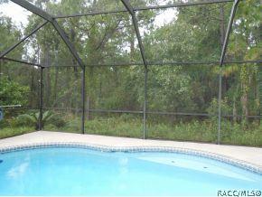 290 E Buckingham Dr, Lecanto, FL 34461 photo 20