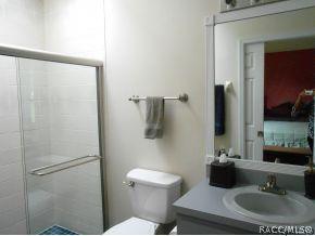 290 E Buckingham Dr, Lecanto, FL 34461 photo 15
