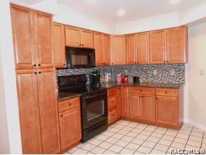 290 E Buckingham Dr, Lecanto, FL 34461 photo 2
