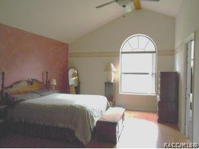 290 E Buckingham Dr, Lecanto, FL 34461 photo 14