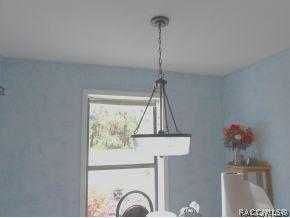 290 E Buckingham Dr, Lecanto, FL 34461 photo 13