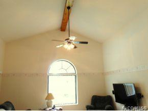 290 E Buckingham Dr, Lecanto, FL 34461 photo 6