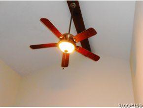 290 E Buckingham Dr, Lecanto, FL 34461 photo 21