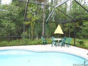 290 E Buckingham Dr, Lecanto, FL 34461 photo 12
