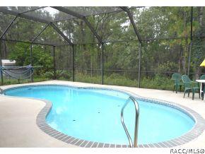 290 E Buckingham Dr, Lecanto, FL 34461 photo 17