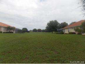 395 W Mickey Mantle Path, Hernando, FL 34442 photo 1
