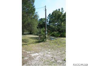 81 Gladys Ave, Inglis, FL 34449 photo 3