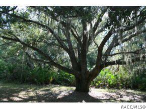 81 Gladys Ave, Inglis, FL 34449 photo 1
