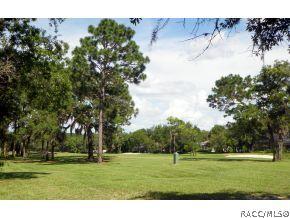 18 W Keller St, Hernando, FL 34442 photo 23