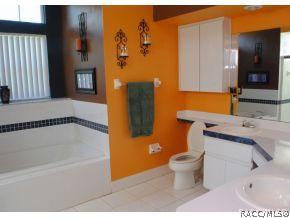 1229 E Rockefeller, Hernando, FL 34442 photo 19