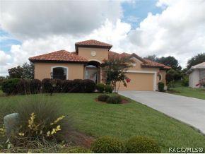 338 W Redsox, Hernando, FL 34442 photo 1