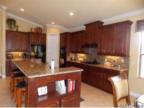 338 W Redsox, Hernando, FL 34442 photo 10