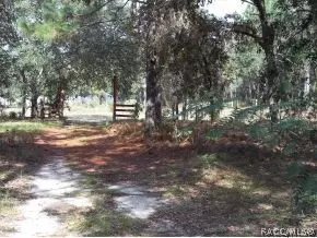 530 E Nicholas St, Hernando, FL 34442 photo 9
