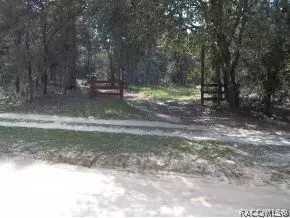530 E Nicholas St, Hernando, FL 34442 photo 3