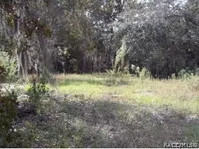 530 E Nicholas St, Hernando, FL 34442 photo 11