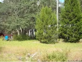 530 E Nicholas St, Hernando, FL 34442 photo 13