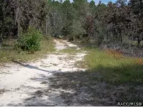 530 E Nicholas St, Hernando, FL 34442 photo 10