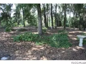 3324 Chandler Dr, Hernando, FL 34442 photo 20