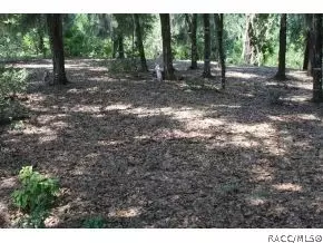 3324 Chandler Dr, Hernando, FL 34442 photo 21