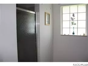 3324 Chandler Dr, Hernando, FL 34442 photo 13