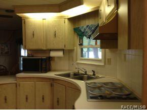 3691 E Squaw Valley Dr, Hernando, FL 34442 photo 3