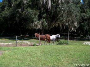 4170 N Elwyn Pt, Hernando, FL 34442 photo 15
