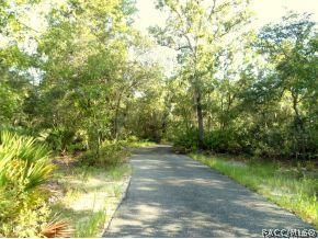 4045 E Chuck Yeager, Hernando, FL 34442 photo 23