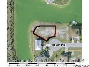 3383 Sheephead Dr, Hernando Beach, FL 34607 photo 1