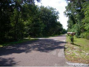 5213 N Highland Park Dr, Hernando, FL 34442 photo 11