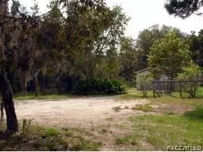 4680 N Forest Lake Dr, Hernando, FL 34442 photo 16