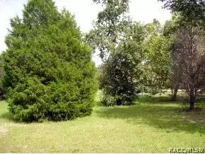 4680 N Forest Lake Dr, Hernando, FL 34442 photo 13