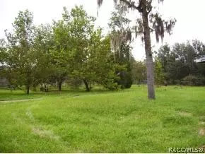 4680 N Forest Lake Dr, Hernando, FL 34442 photo 12