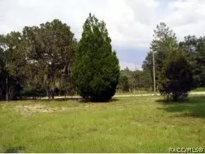 4680 N Forest Lake Dr, Hernando, FL 34442 photo 17