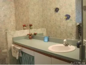 603 W Sunbird, Hernando, FL 34442 photo 12