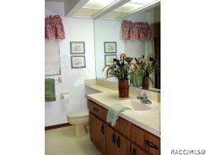 181 Pine St, Homosassa, FL 34446 photo 21