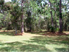 181 Pine St, Homosassa, FL 34446 photo 24