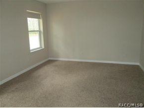 393 E Buckingham Dr, Lecanto, FL 34461 photo 11