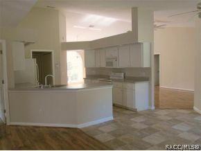 393 E Buckingham Dr, Lecanto, FL 34461 photo 6